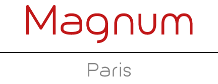 Magnum Paris, location de minibus et car avec chauffeur sur Paris et l'ile de France